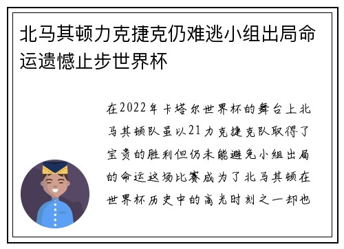北马其顿力克捷克仍难逃小组出局命运遗憾止步世界杯