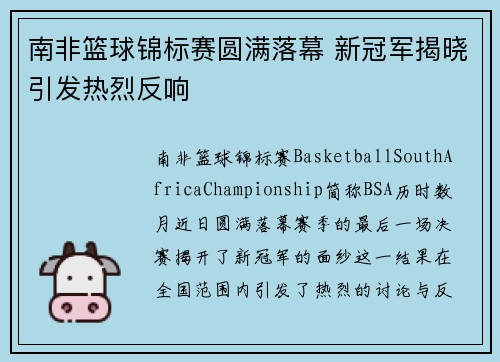 南非篮球锦标赛圆满落幕 新冠军揭晓引发热烈反响